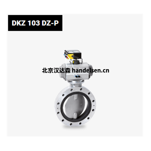 WAREX Valve DKZ  103 DZ-P