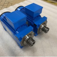 德国HIMMEL搅拌器齿轮马达CAD61-M1P4U用于污水处理厂