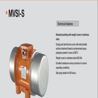 意大利Italvibras G. Silingardi MVSI-TS分体式电动振动器
