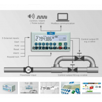 荷兰Fluidwell流量指示器F010型